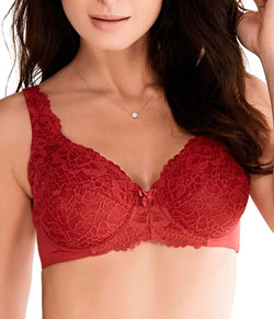 Sutiã Sustentação Triumph Classic Soft W (24341) Taça D